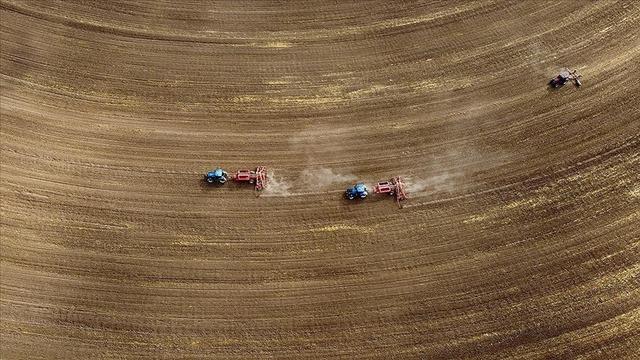 Türkiye genelindeki tarım sayımında sona yaklaşıldı
