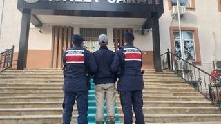 Kendisine saldıran köpeklerin sahibini vuran 17 yaşındaki şüpheli tutuklandı