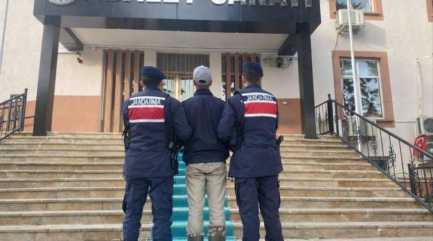 Kendisine saldıran k&ouml;peklerin sahibini vuran 17 yaşındaki ş&uuml;pheli tutuklandı