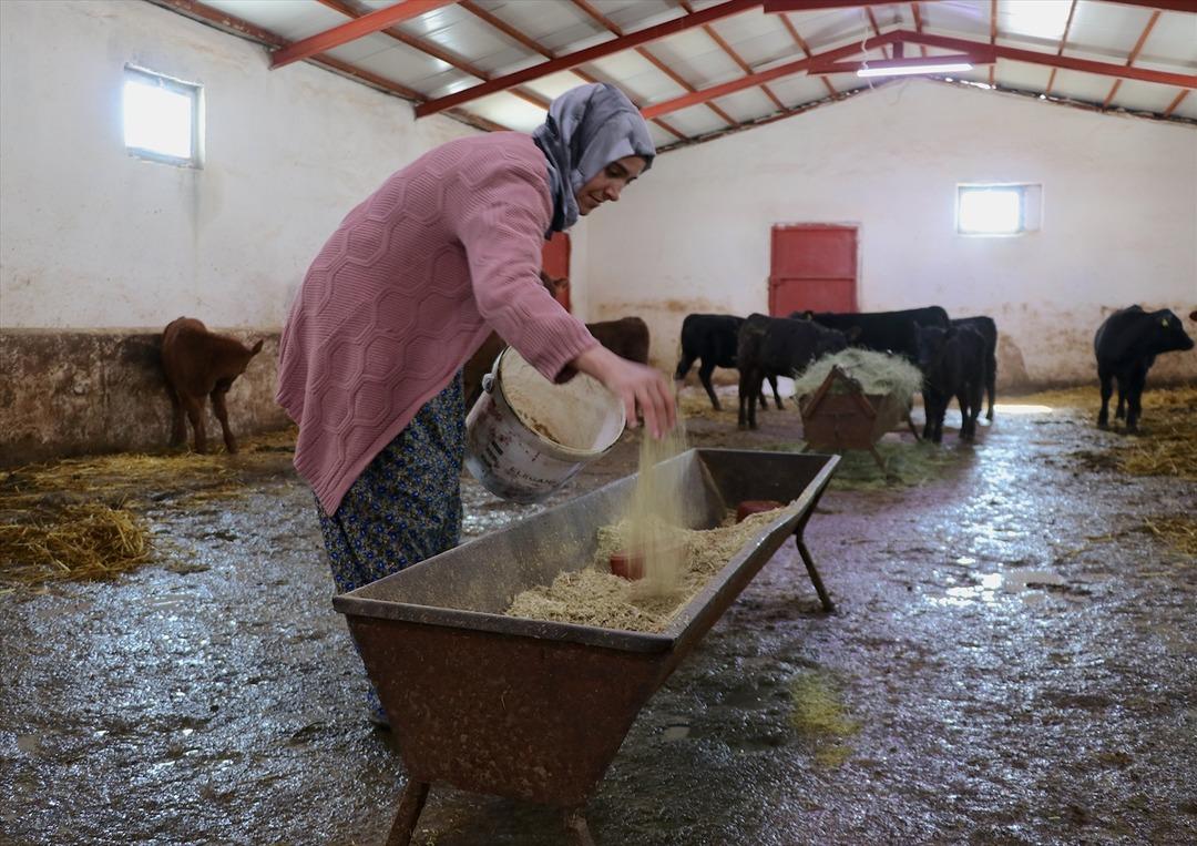 Ekimde aldı, 5 ayda 30 a &ccedil;ıkardı:  Hayatımı değiştirdi  Herkese tavsiye etti 2