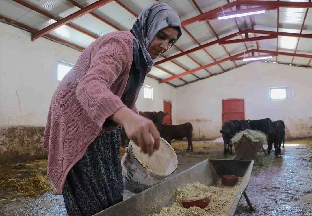 Ekimde aldı, 5 ayda 30 a &ccedil;ıkardı:  Hayatımı değiştirdi  Herkese tavsiye etti 4
