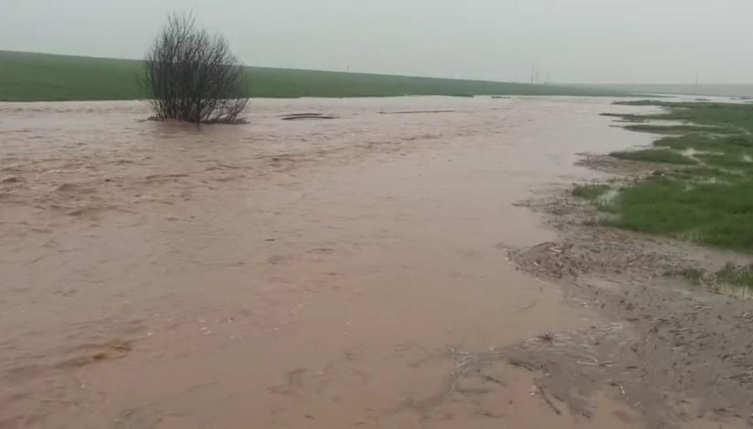 Mardin ve Diyarbakır da taşkın! Çok sayıda ev ve iş yeri sulara teslim oldu 1