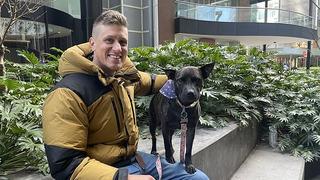 ChatGPT yardımıyla köpeğine özel kanser aşısı geliştirdi: Tümör yüzde 75 küçüldü