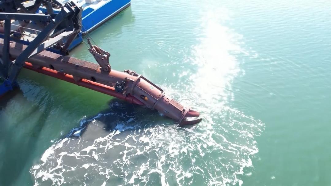 Bir zamanlar &ccedil;amurdu, şimdi kuş cenneti: Allı turnaların sayısı ikiye katlandı! 1