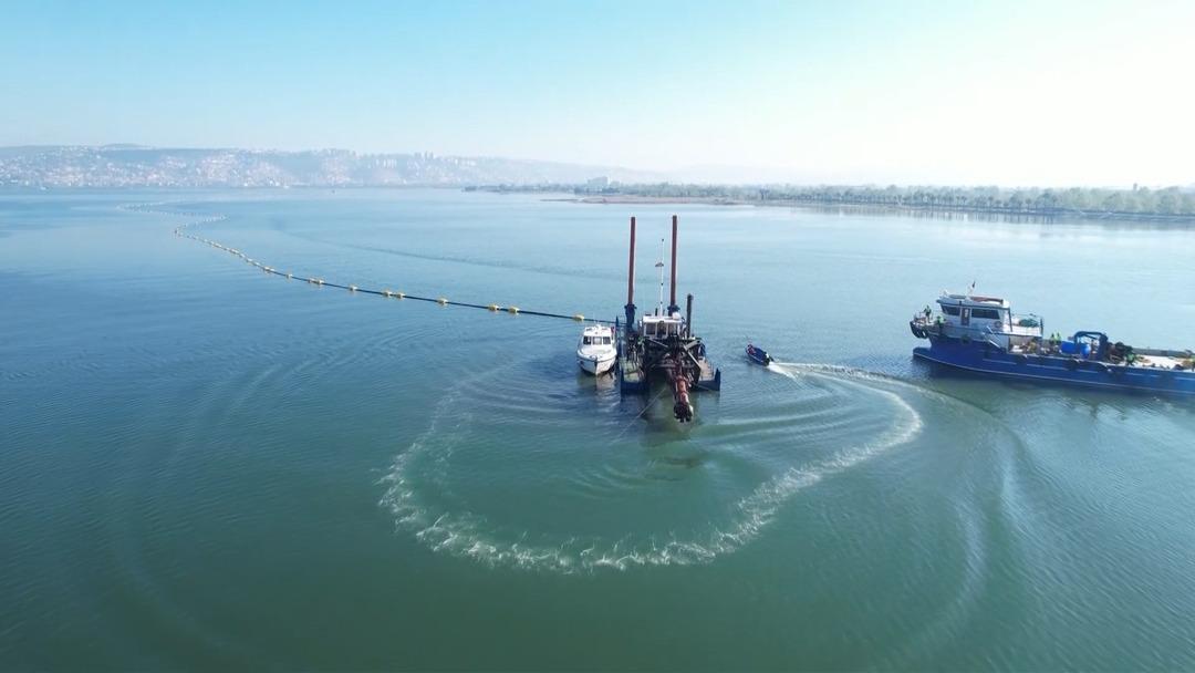 Bir zamanlar &ccedil;amurdu, şimdi kuş cenneti: Allı turnaların sayısı ikiye katlandı! 3