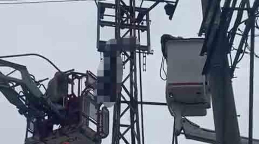 Hırsızlık i&ccedil;in &ccedil;ıktığı elektrik direği sonu oldu