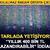 1 milyon TL&rsquo;niz var: Altın mı alırsınız, &Ccedil;ilek serası mı kurarsınız? İşte yanıtı