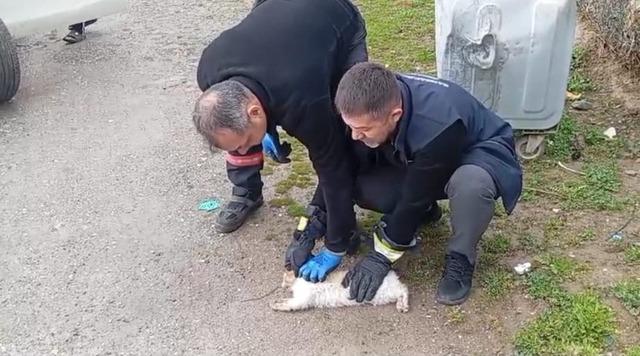 Batman&rsquo;da aracın motoruna sıkışan kedi kurtarıldı 1