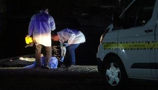 Falezlerden d&uuml;şen m&uuml;zisyen hayatını kaybetti