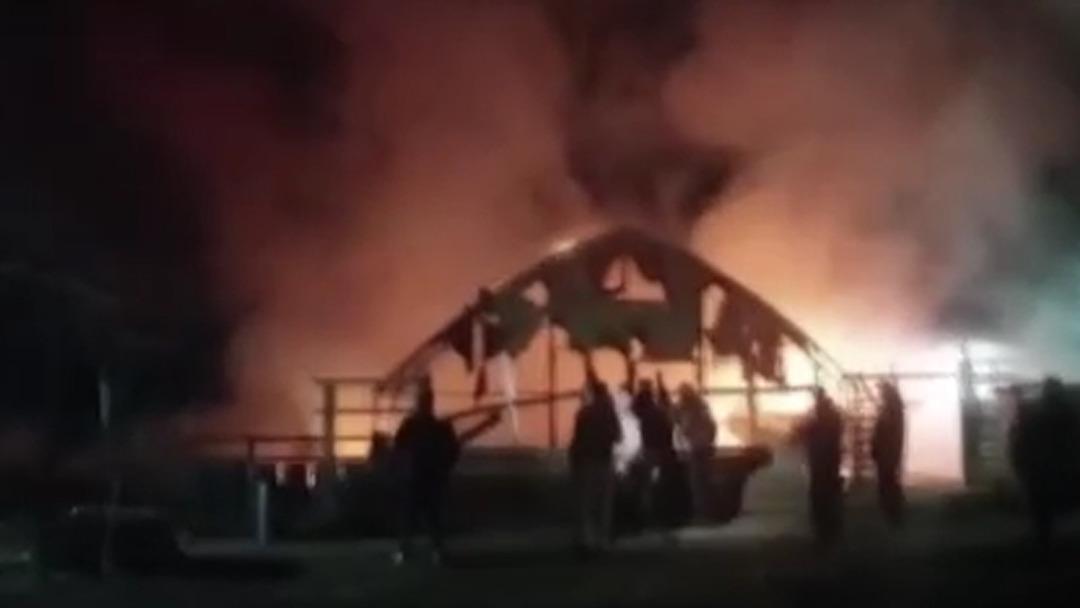 İnegöl de hayvan çiftliğinde yangın: 580 hayvan telef oldu 1