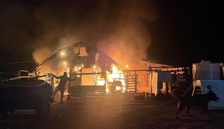 Bursa'daki &ccedil;iftlikte yangın: 580 hayvan &ouml;ld&uuml;