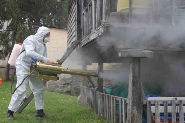 İstilacı b&ouml;cek alarmı! Kahverengi kokarca m&uuml;cadelesi: Dev operasyon başladı 3