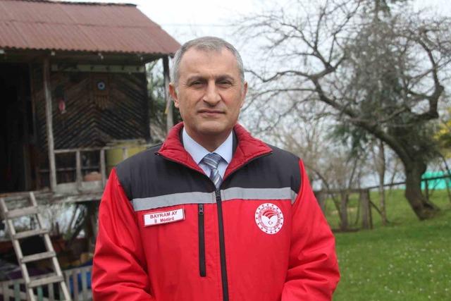 İstilacı b&ouml;cek alarmı! Kahverengi kokarca m&uuml;cadelesi: Dev operasyon başladı 2