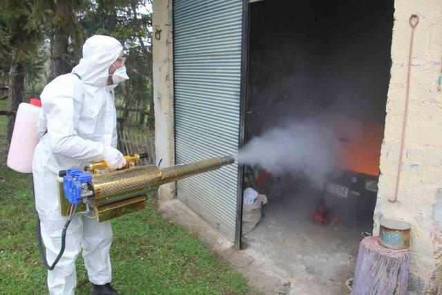 İstilacı b&ouml;cek alarmı! Kahverengi kokarca m&uuml;cadelesi: Dev operasyon başladı 1