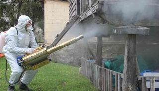 İstilacı b&ouml;cek alarmı! Kahverengi kokarca m&uuml;cadelesi