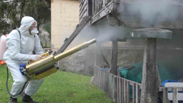 İstilacı böcek alarmı! Kahverengi kokarca mücadelesi: Dev operasyon başladı