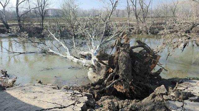9 yıl sonra gelen taşkınlar zemini vurdu: Tunca Nehri’ndeki kıyıda yarıklar oluştu
