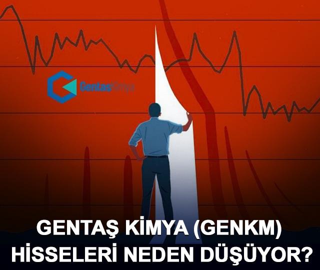 Gentaş Kimya (GENKM) hisseleri neden düşüyor?