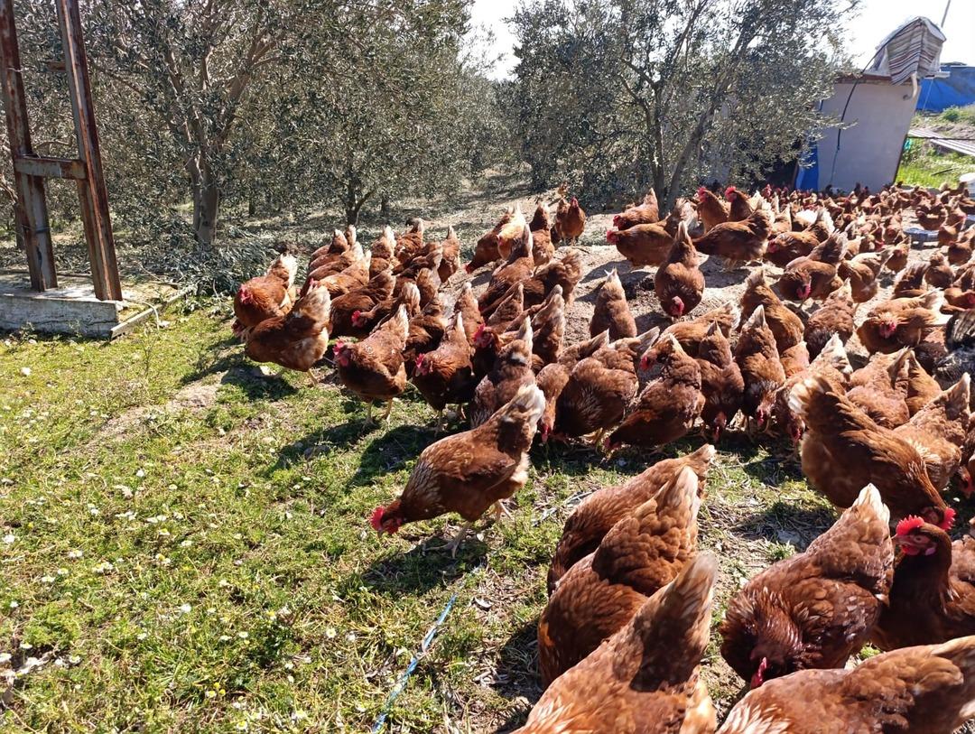 Bin kapasiteli sistem kurdu! Yiyen &lsquo;Tadını unutmuşuz&rsquo; diyor 3 yıl &ouml;nce başladı 2