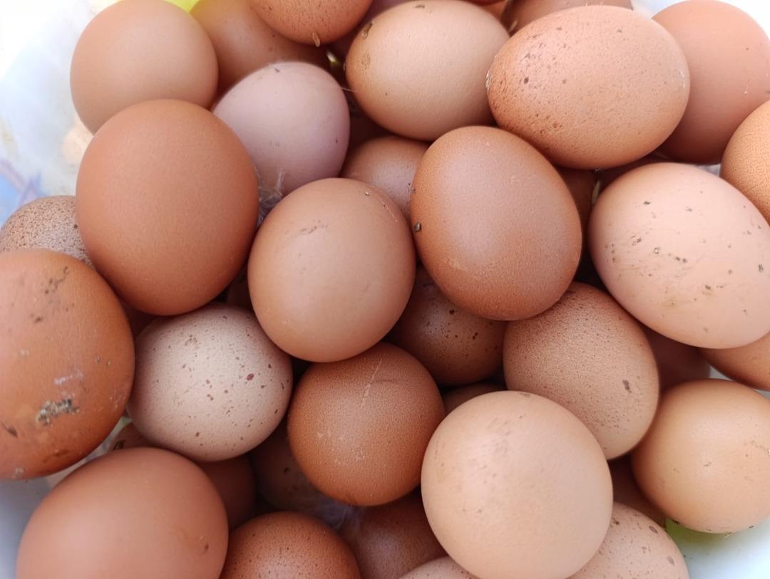 Bin kapasiteli sistem kurdu! Yiyen &lsquo;Tadını unutmuşuz&rsquo; diyor 3 yıl &ouml;nce başladı 4