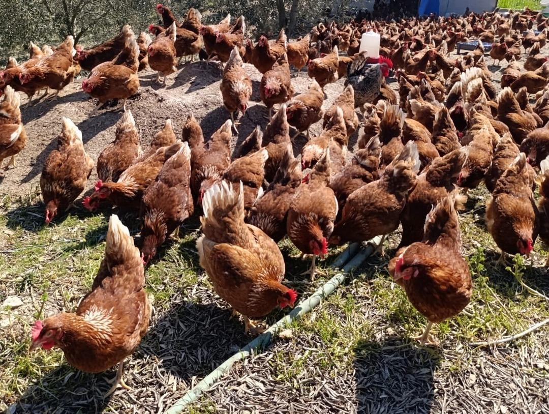 Bin kapasiteli sistem kurdu! Yiyen &lsquo;Tadını unutmuşuz&rsquo; diyor 3 yıl &ouml;nce başladı 5
