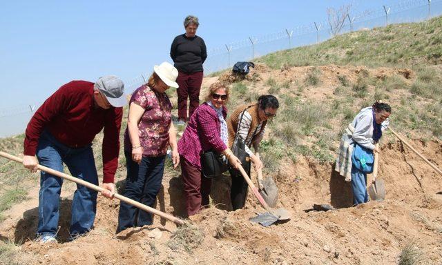 Çam fidanları toprakla buluştu