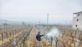 Sarıg&ouml;l&rsquo;de &ouml;l&uuml; kol hastalığıyla m&uuml;cadele başladı