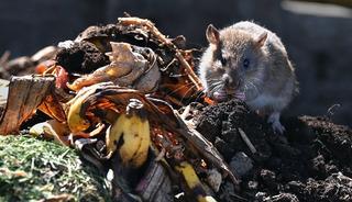 &Ccedil;&ouml;p grevi bir yılı aştı, sokağı sı&ccedil;anlar bastı!