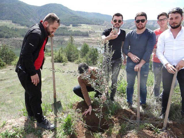 AK Gençlik her şehit için birer fidan dikti