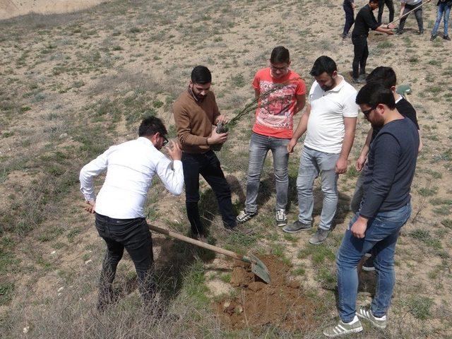 AK Gençlik her şehit için birer fidan dikti