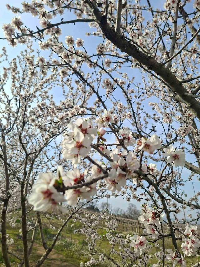 Sarıg&ouml;l&rsquo;de kartpostallık manzara 2