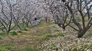 Sarıgöl’de kartpostallık manzara