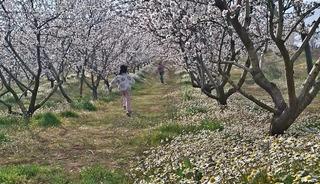 Sarıg&ouml;l&rsquo;de kartpostallık manzara