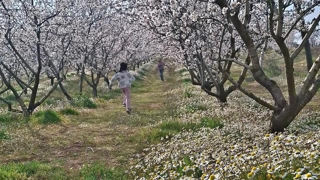 Sarıgöl’de kartpostallık manzara