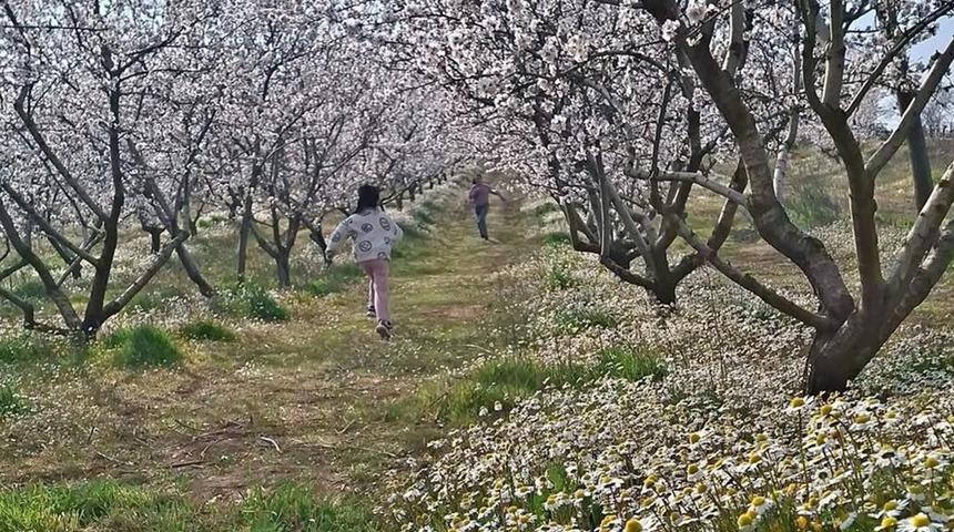 Sarıg&ouml;l&rsquo;de kartpostallık manzara