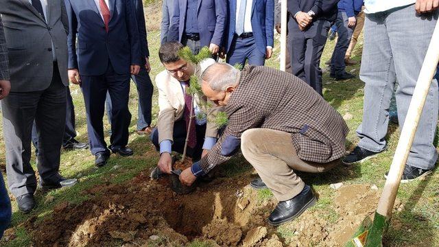 Polis Hatıra Ormanı projesiyle 400 fidan toprakla buluştu