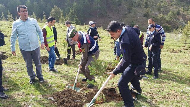 Polis Hatıra Ormanı projesiyle 400 fidan toprakla buluştu