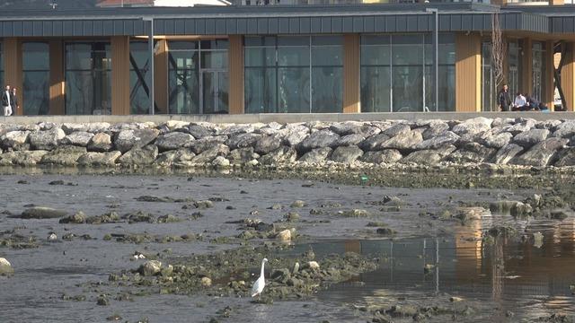 Kuvvetli fırtına sonrası İskenderun K&ouml;rfezi&rsquo;nde deniz suyu &ccedil;ekildi 3