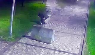 Parkta d&uuml;ş&uuml;r&uuml;len telefonu &ccedil;aldı: O anlar kamerada