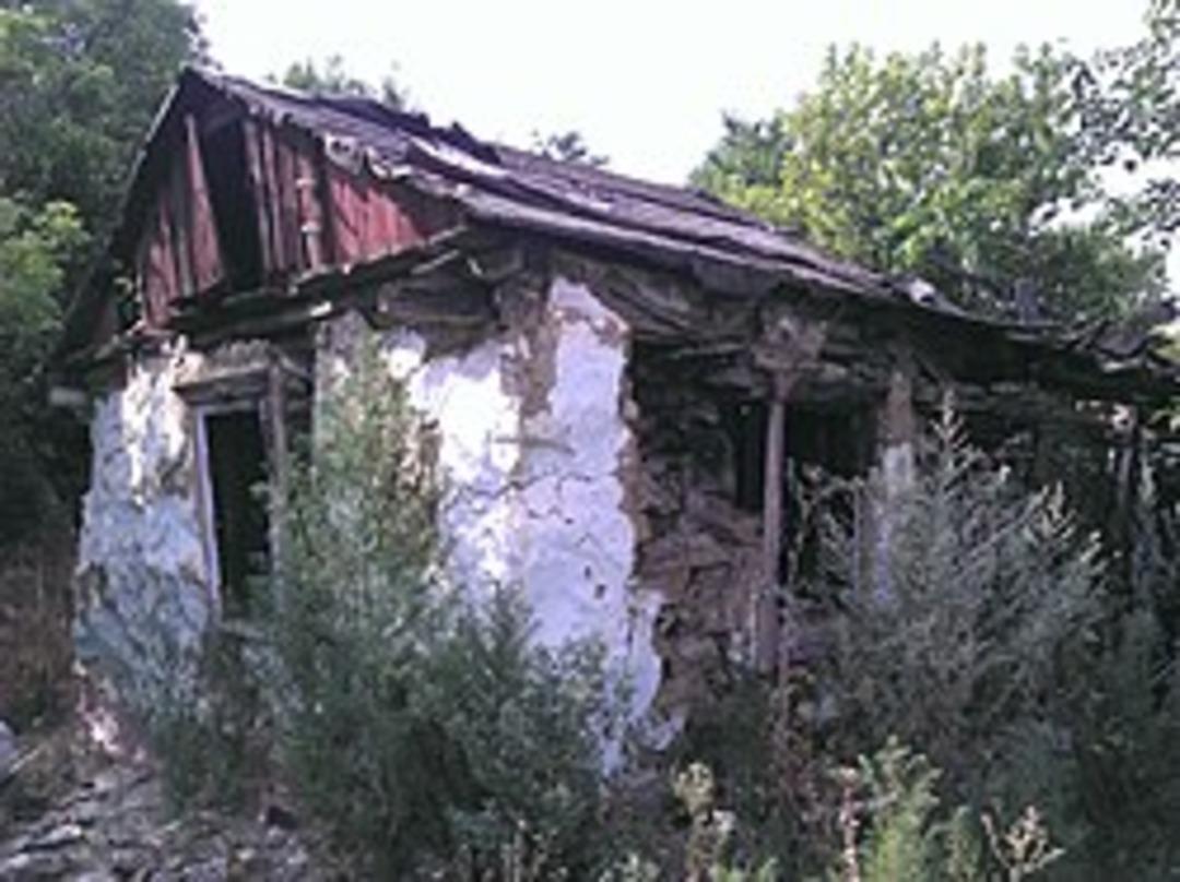 Kan donduran cinayetlerin seri katili: Cinsel organlarını kesip yemiş! Aralarında &ccedil;ocuklar da var 1