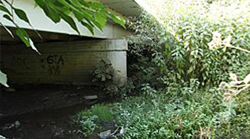 Kan donduran cinayetlerin seri katili: Cinsel organlarını kesip yemiş! Aralarında &ccedil;ocuklar da var