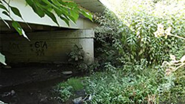 Kan donduran cinayetlerin seri katili: Cinsel organlarını kesip yemiş! Aralarında çocuklar da var