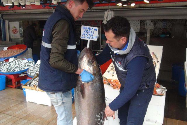 Bandırma'da 'Akya' balığı tezgâhta