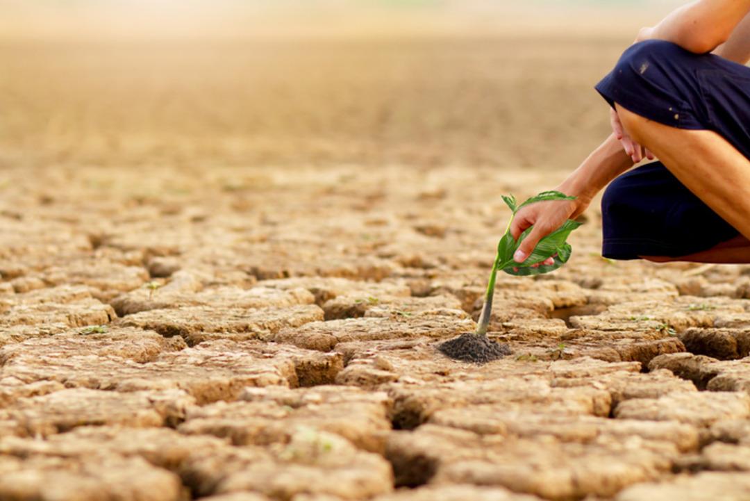 Sıcaklar tetikliyor: Hareketsizlik y&uuml;z binlerce kişiyi &ouml;ld&uuml;rebilir!  1