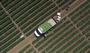 Tarımsal girdi fiyat endeksi ocakta yıllık bazda y&uuml;zde 30,59, aylık y&uuml;zde 3,86 arttı