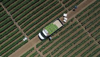 Tarımsal girdi fiyat endeksi ocakta yıllık bazda y&uuml;zde 30,59, aylık y&uuml;zde 3,86 arttı