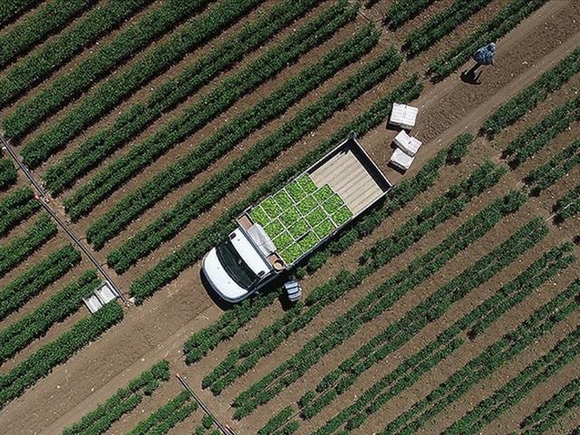 Tarımsal girdi fiyat endeksi ocakta yıllık bazda y&uuml;zde 30,59, aylık y&uuml;zde 3,86 arttı