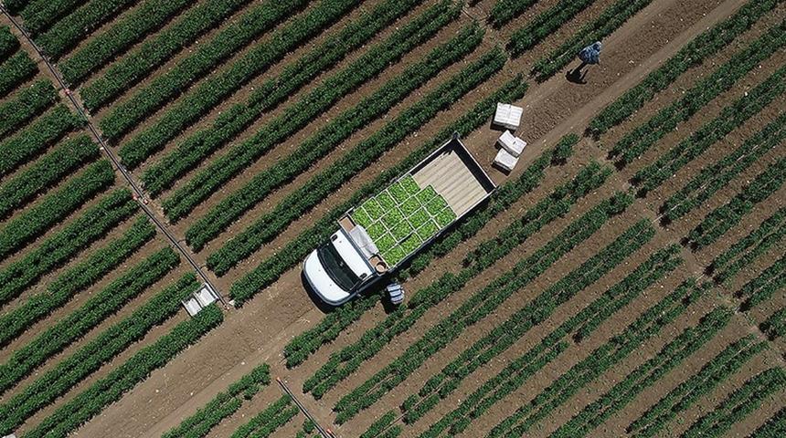 Tarımsal girdi fiyat endeksi ocakta yıllık bazda y&uuml;zde 30,59, aylık y&uuml;zde 3,86 arttı