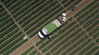 Tarımsal girdi fiyat endeksi ocakta yıllık bazda yüzde 30,59, aylık yüzde 3,86 arttı