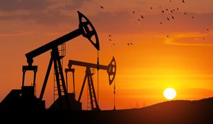 Petrol fiyatı 1 yıl 100 dolarda kalırsa ne olur? 'Şok' deyip a&ccedil;ıkladı